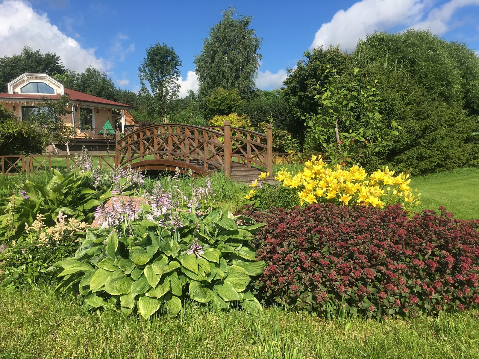 Желтые лилии