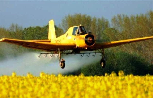 Обработка сада от болезней и вредителей. Борьба с сорняками.