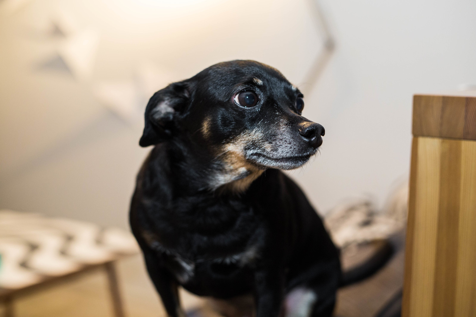 Двухкомнатная квартира на Ланском