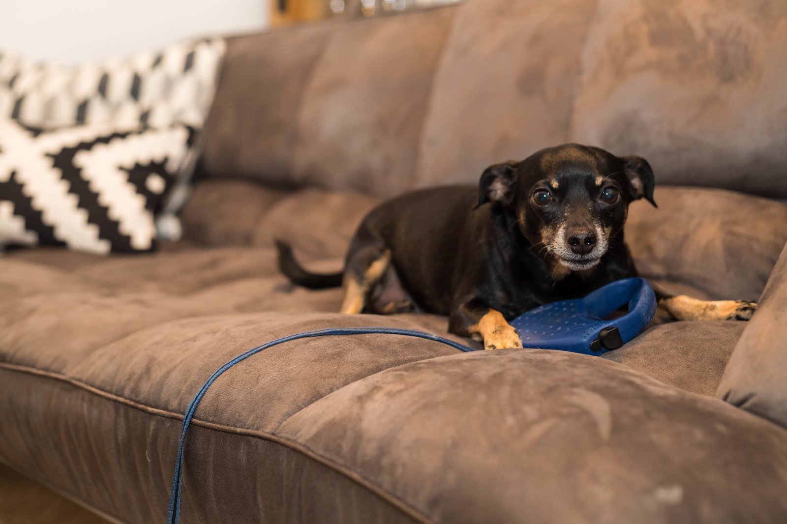 Двухкомнатная квартира на Ланском