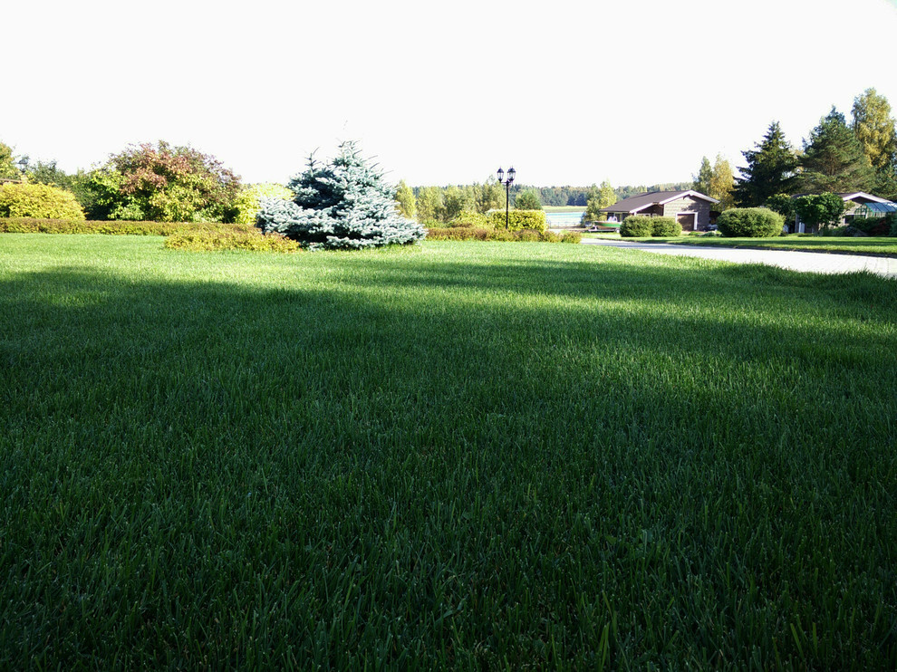 Устройство и продажа рулонного газона