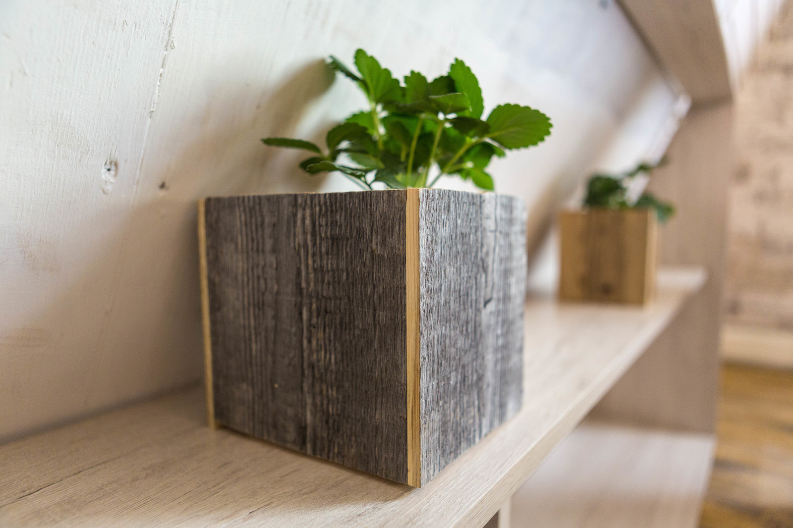 Участие в программе Фазенда