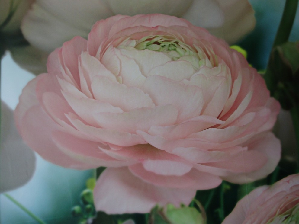 Наше Портфолио