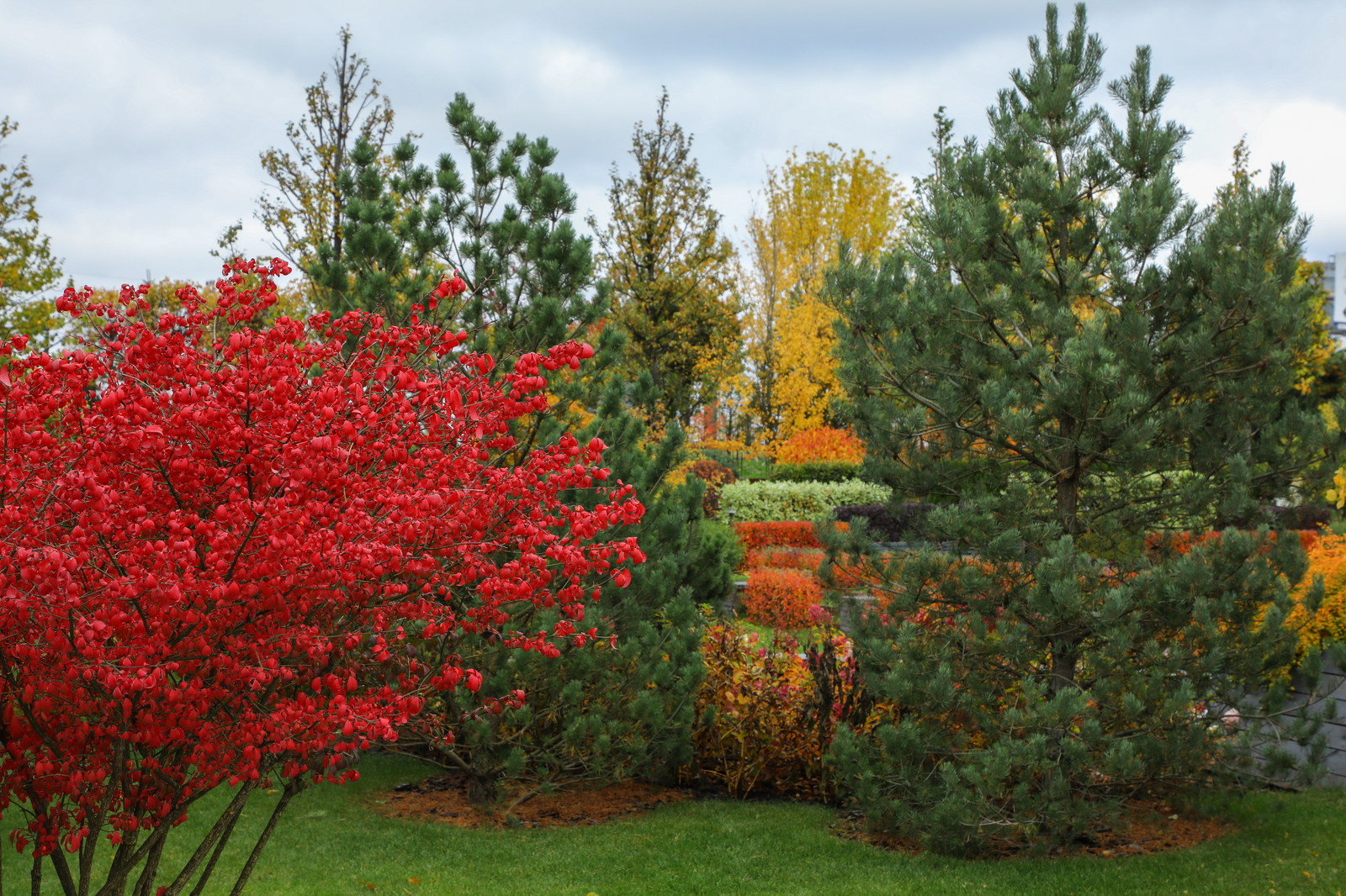 Парк Garden park