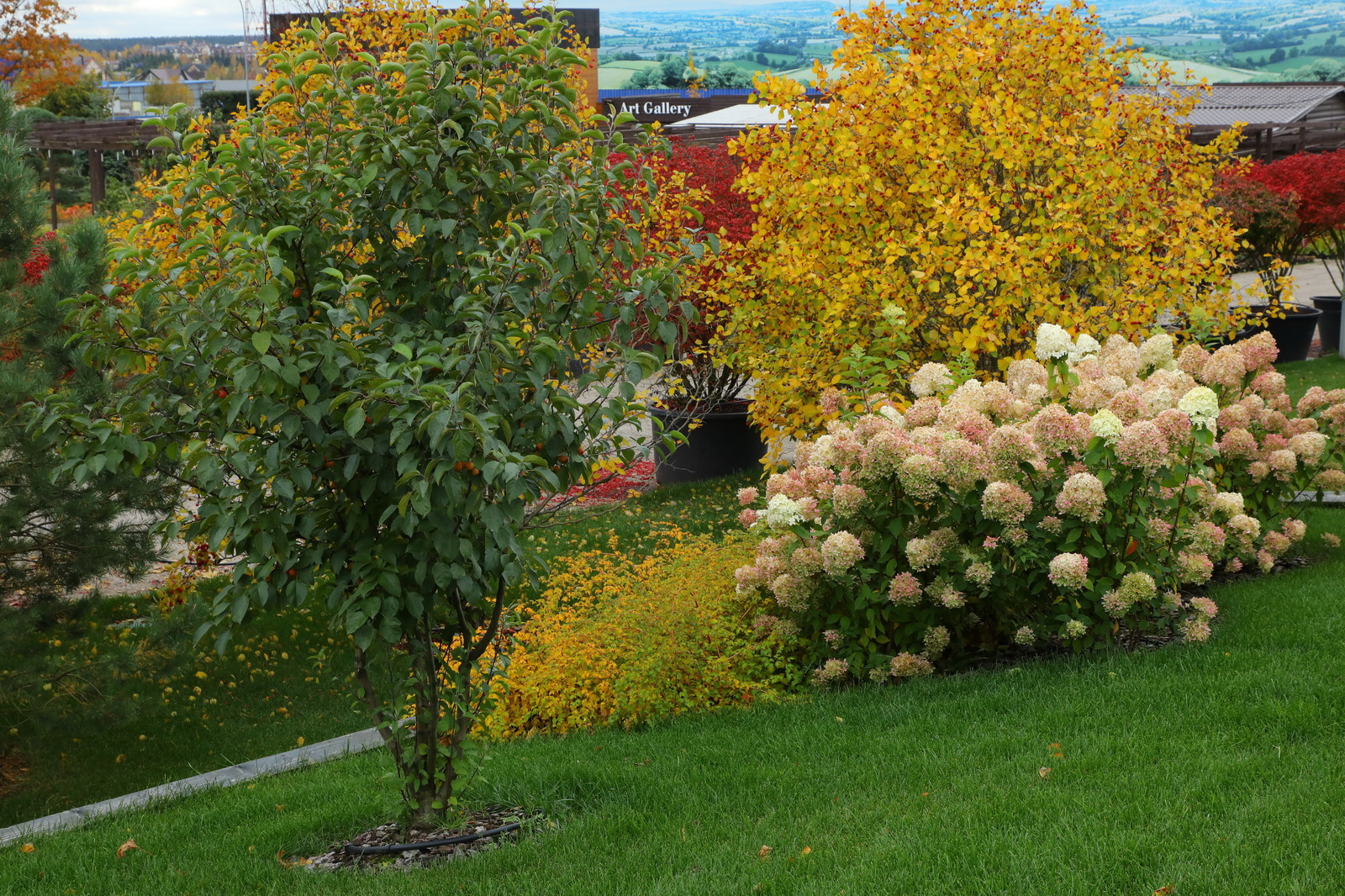 Парк Garden park