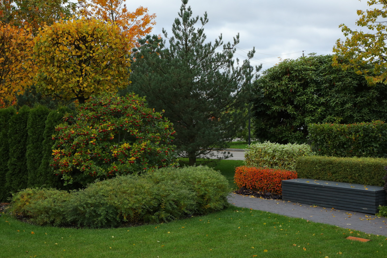 Парк Garden park