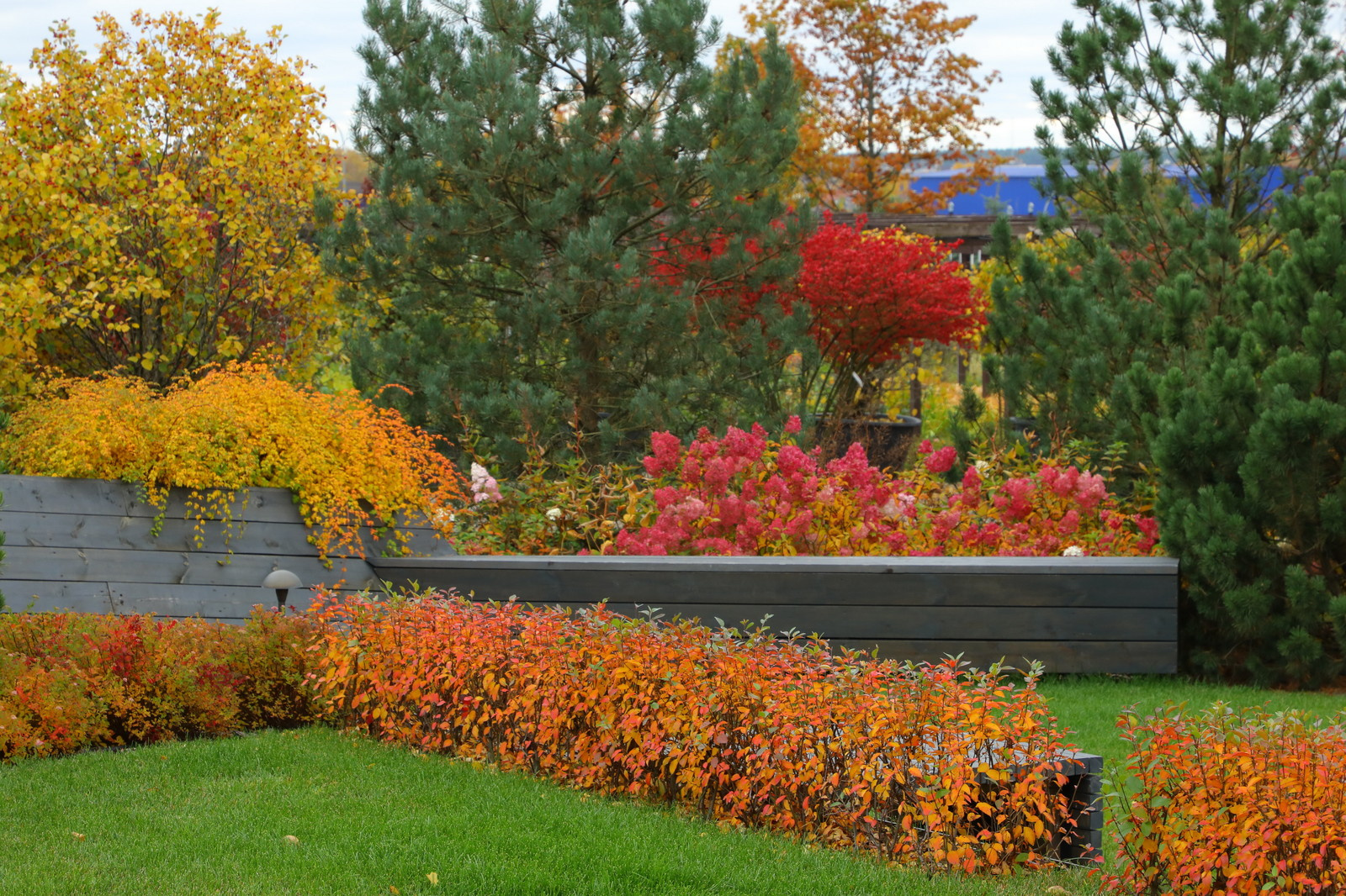 Парк Garden park