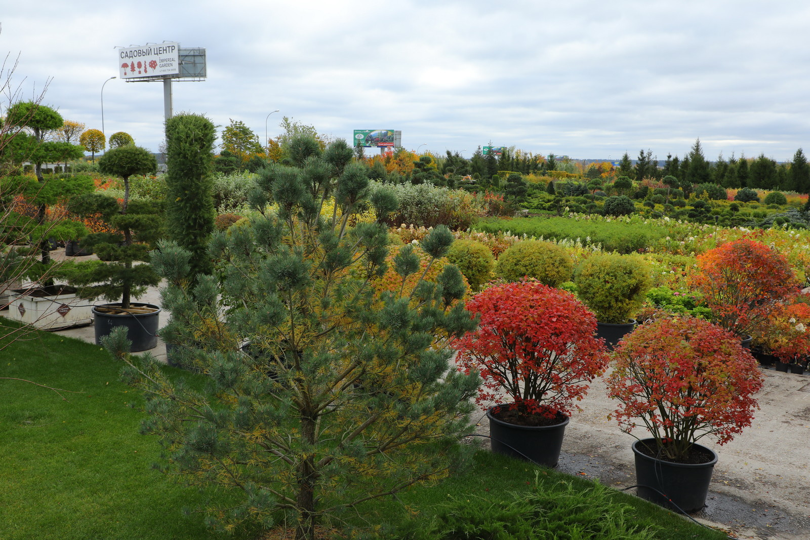 Парк Garden park