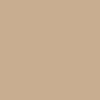 Цвета Sherwin-Williams-3