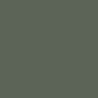 Цвета Sherwin-Williams-4