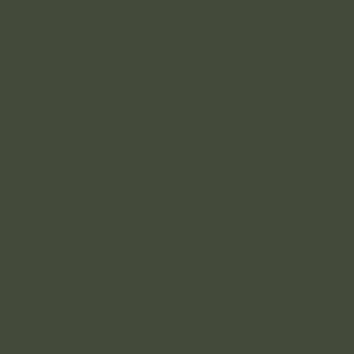 Цвета Sherwin-Williams-4