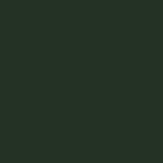 Цвета Sherwin-Williams-4