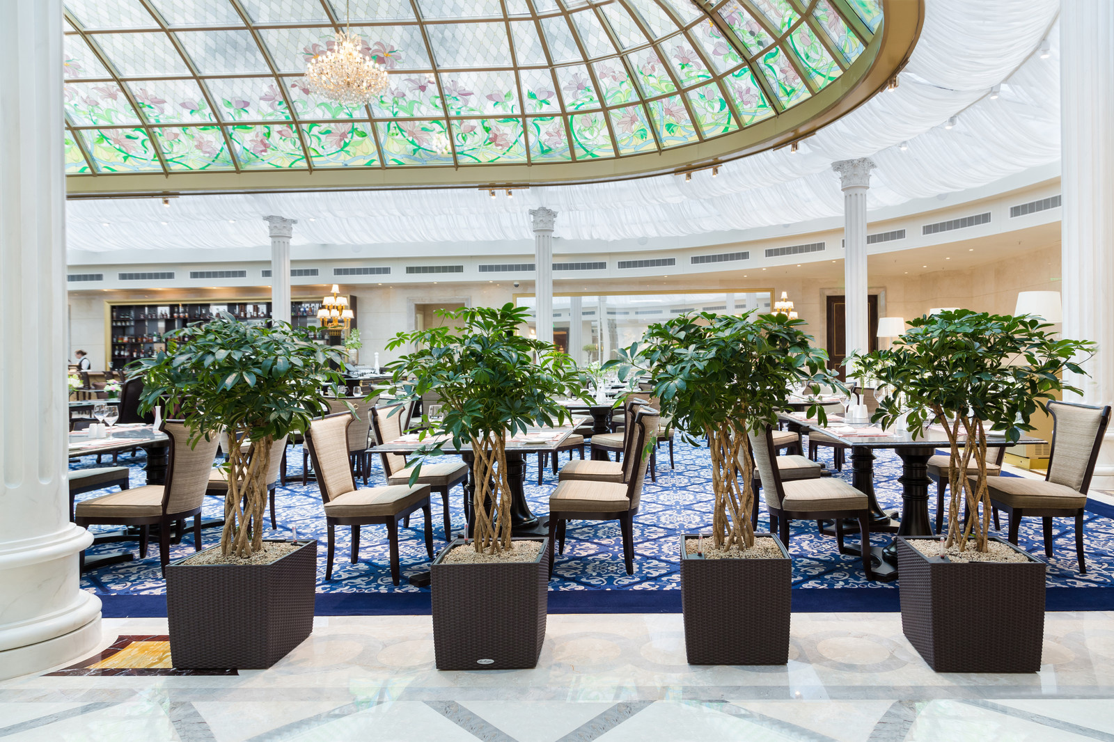 Растения в интерьере LOTTE Hotel St.Petersburg
