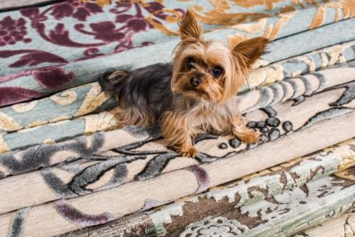 Обложка проекта: Магазин ковров ХОУМ СТАЙЛ рядом с метро Павелецкая