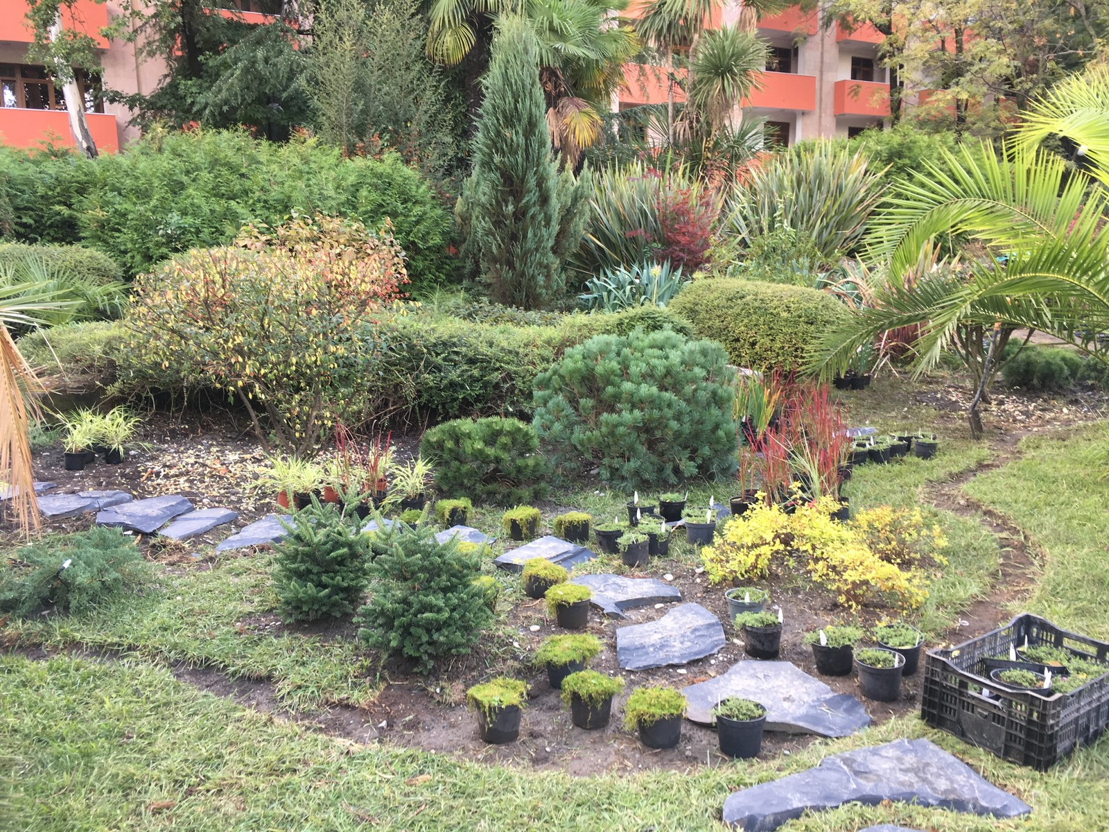 Адлер "Южное Взморье"