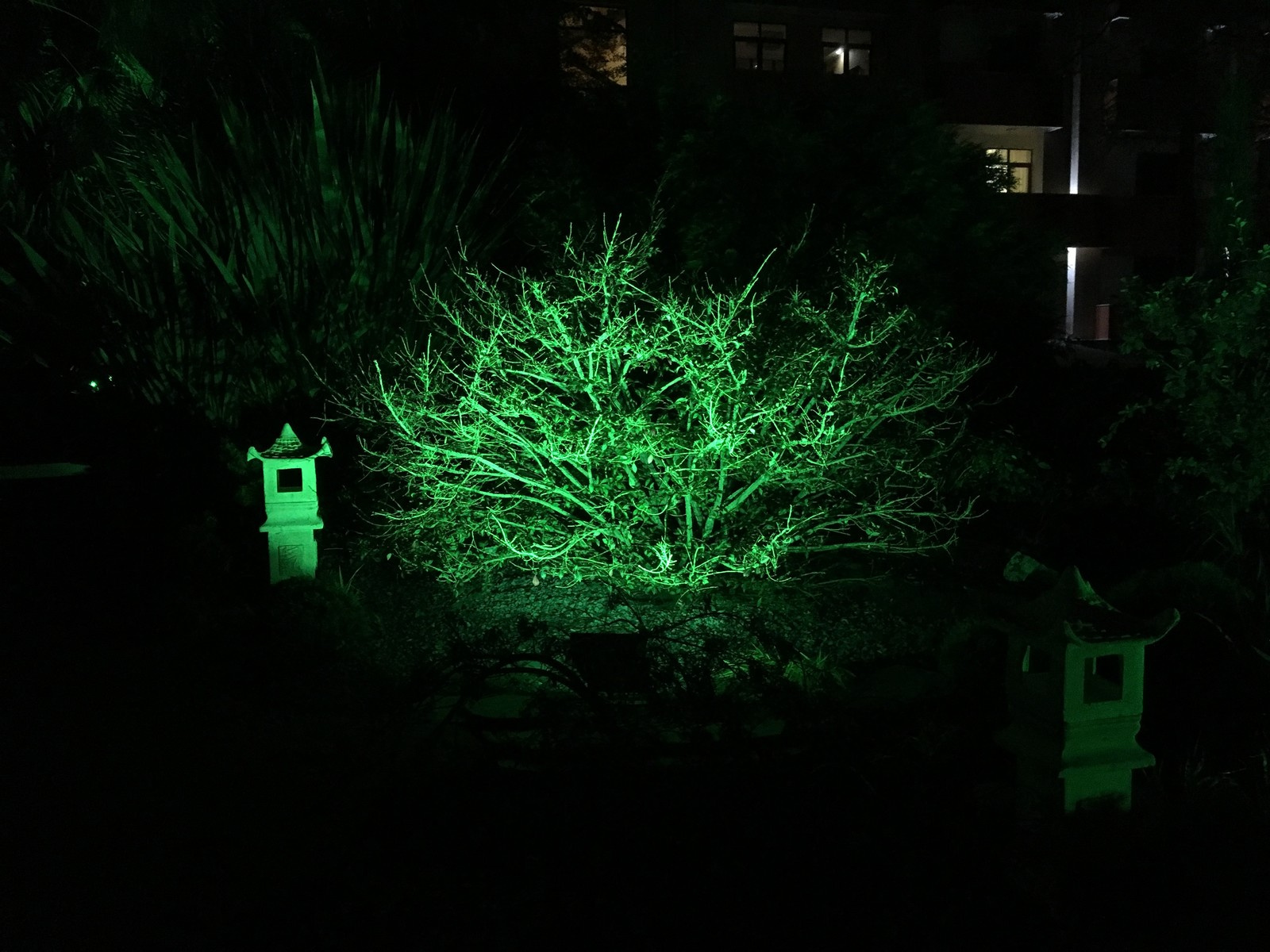 Адлер "Южное Взморье"