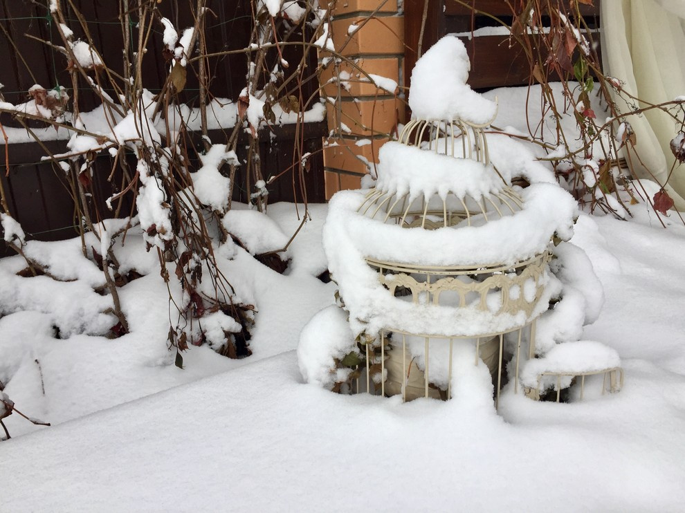 Сад "Каликат"