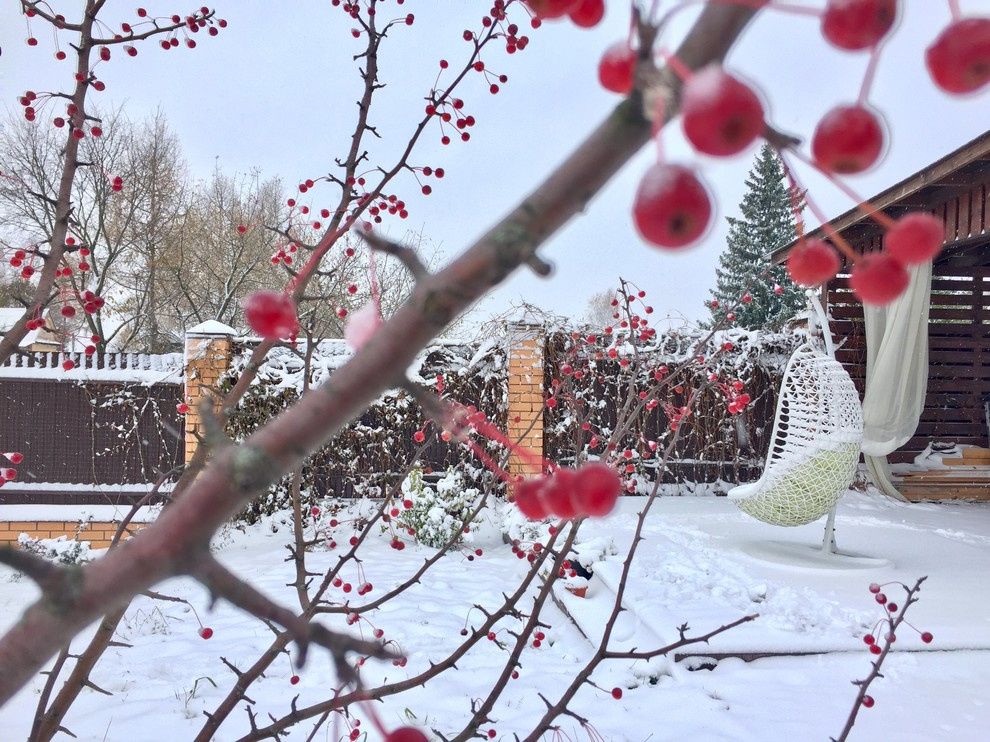 Сад "Каликат"