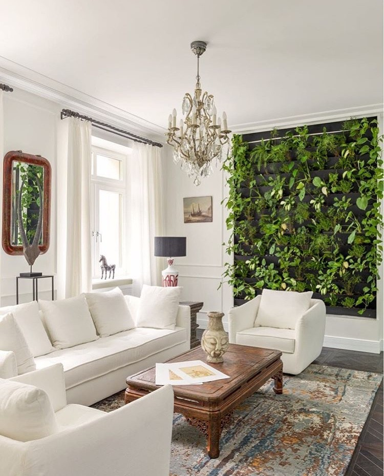 Tapis Rouge Atelier в интерьерах