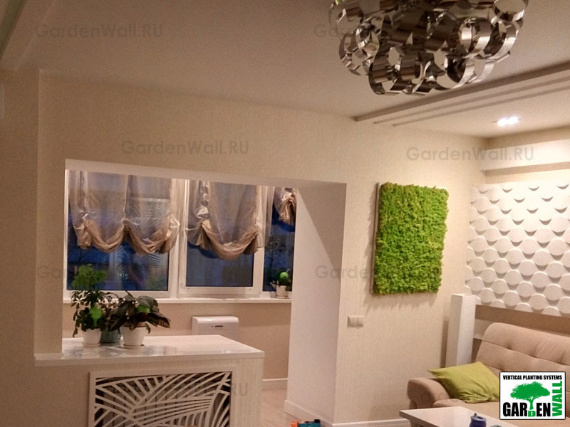 Фитокартина в квартире