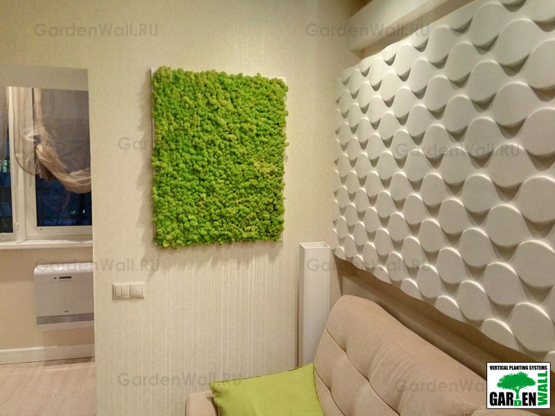 Фитокартина в квартире