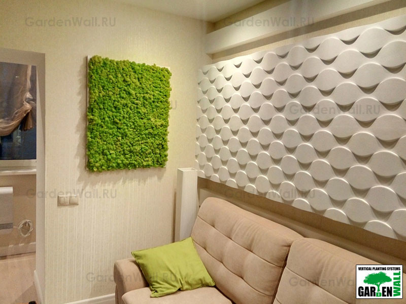 Фитокартина в квартире