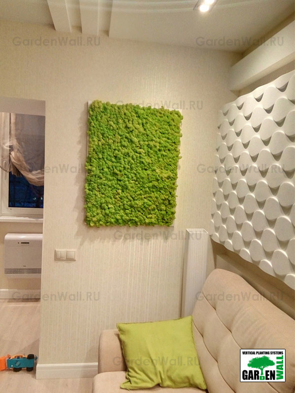 Обложка проекта: Фитокартина в квартире