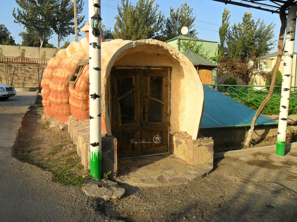 Ракушка