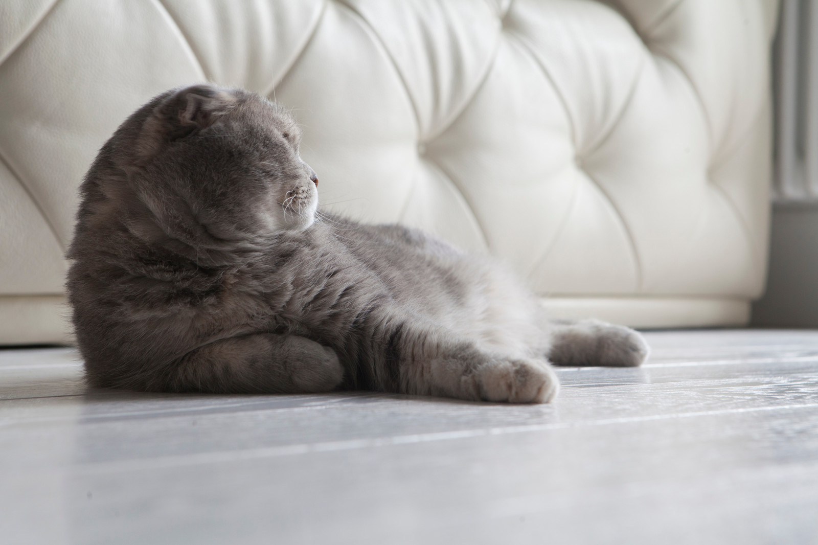 Съёмка для HOUZZ. В гостях.