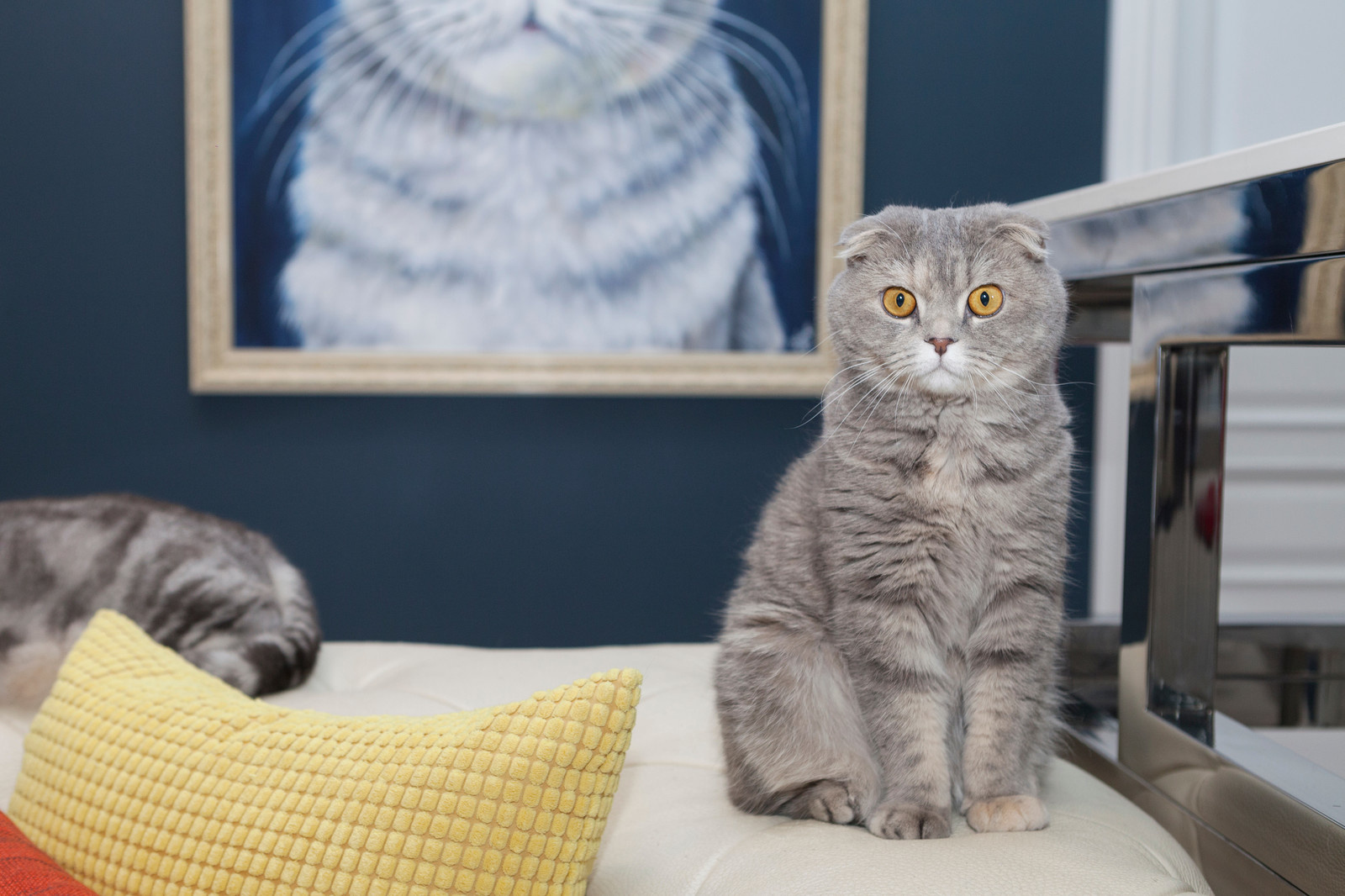 Съёмка для HOUZZ. В гостях.