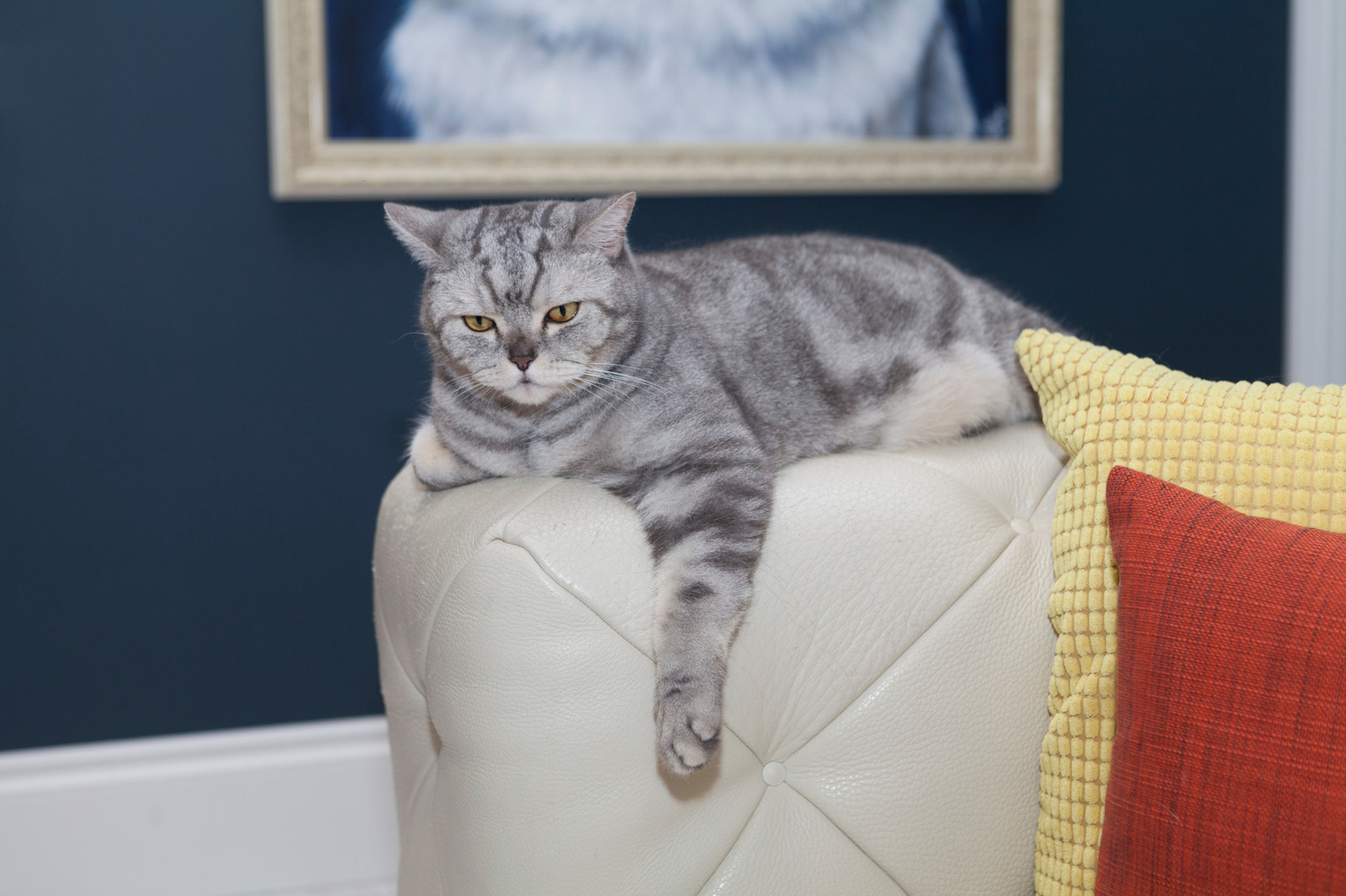 Съёмка для HOUZZ. В гостях.