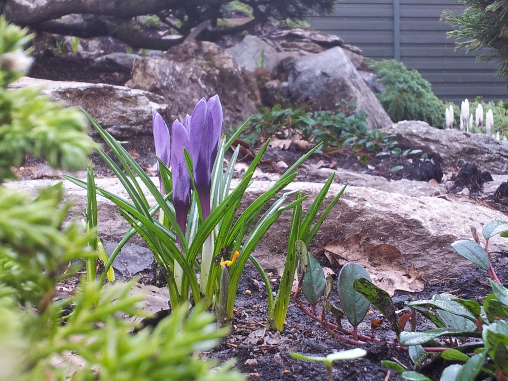 Лесной участок в КП "РИИТА"