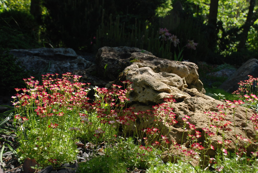 Лесной участок в КП "РИИТА"