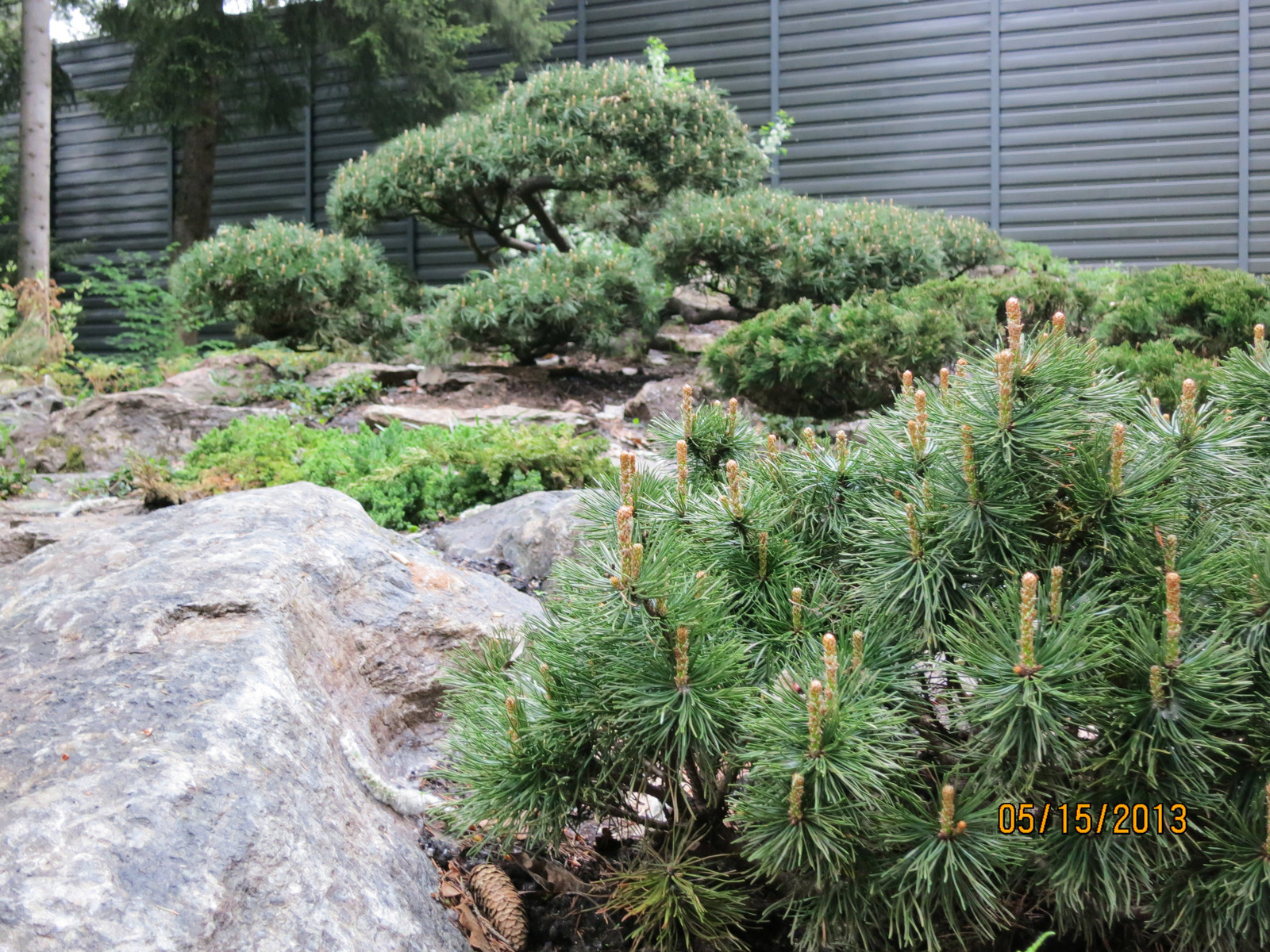 Лесной участок в КП "РИИТА"