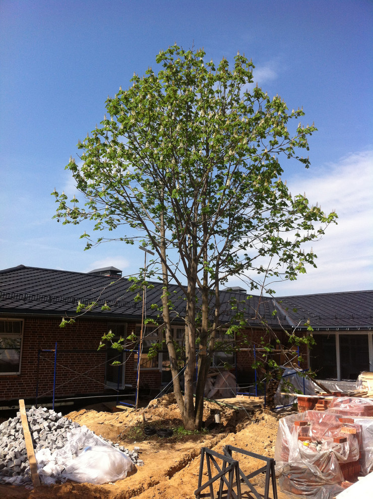 Современный сад в КП "Променад"