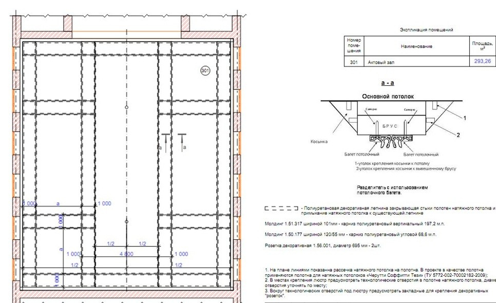Актовый зал со старинной лепниной