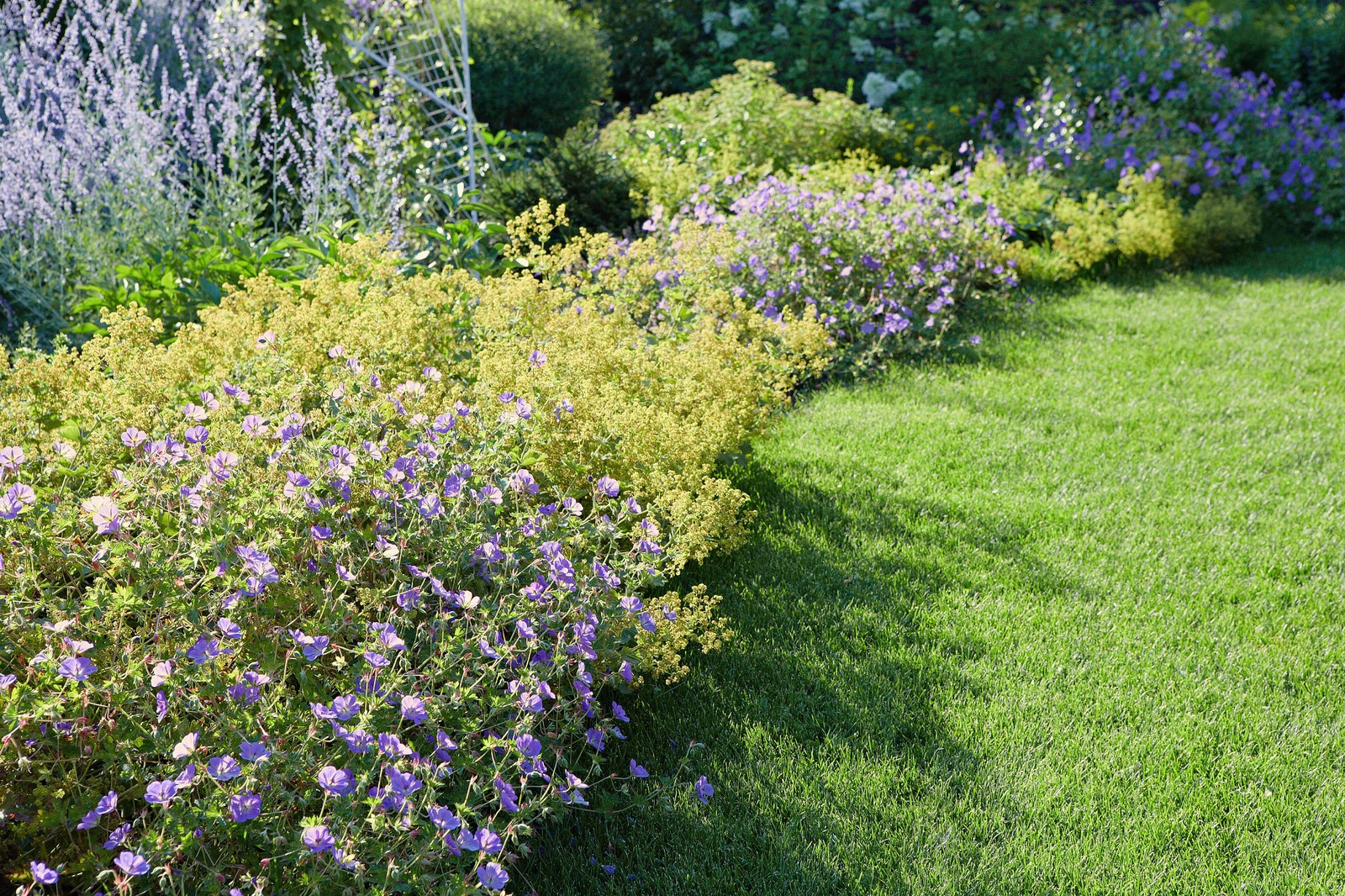 Прогулка в дубах