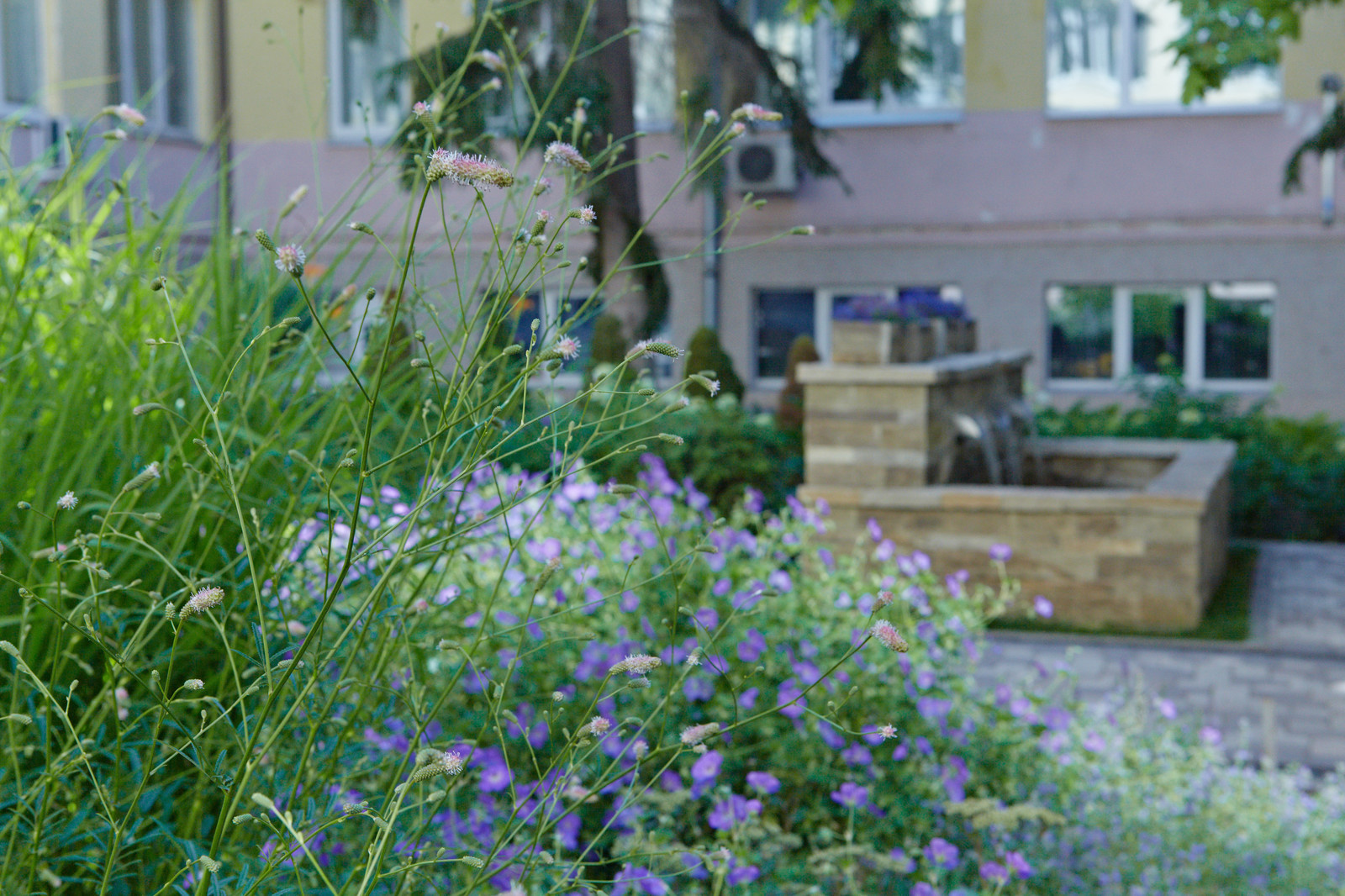 Корпоративный сад