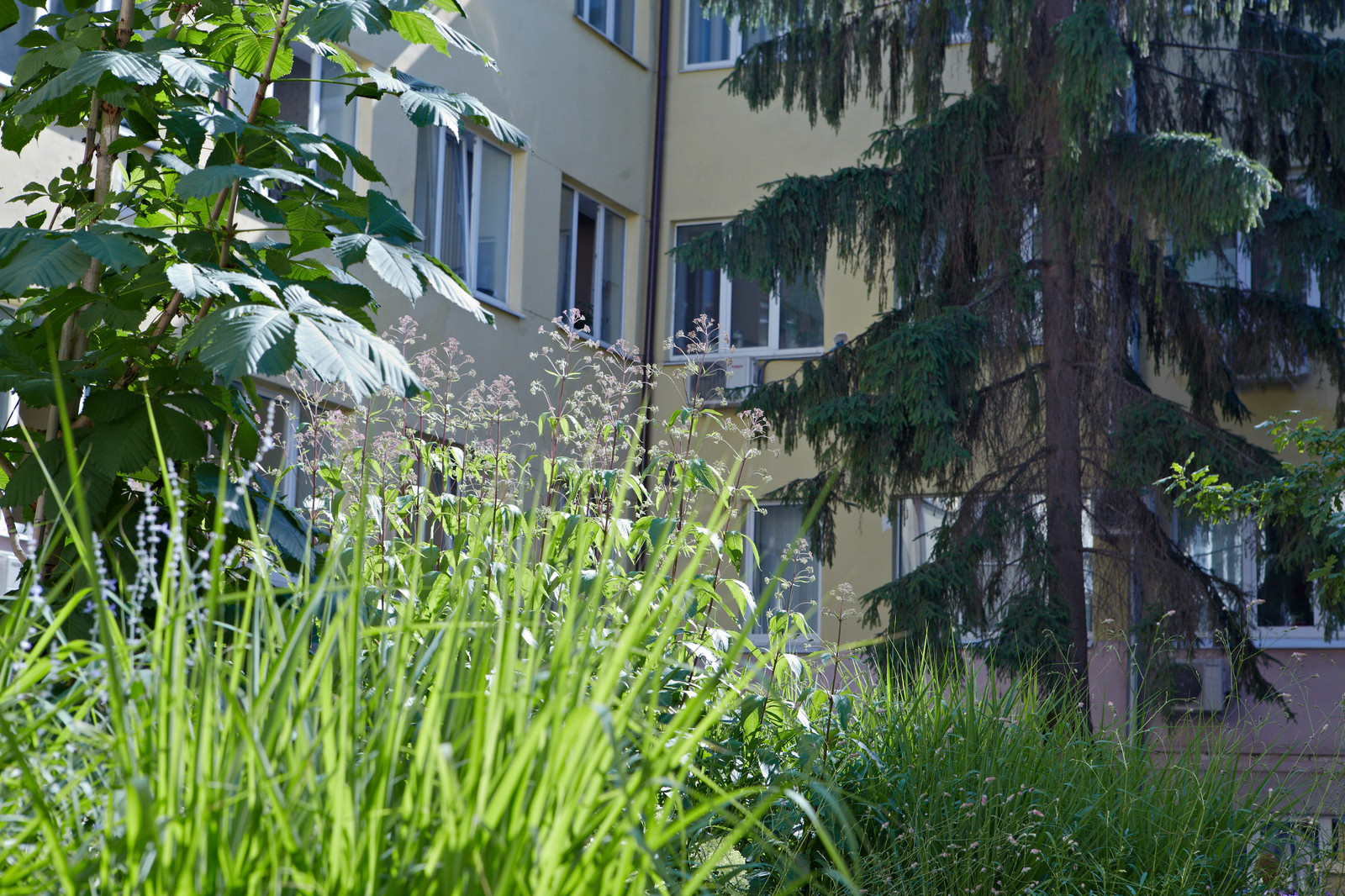 Корпоративный сад