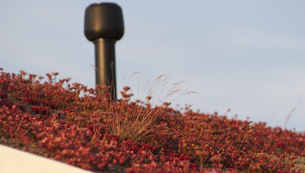 Дом в скандинавском стиле с баней, гостевой комнатой и мастерской. Благодаря оче