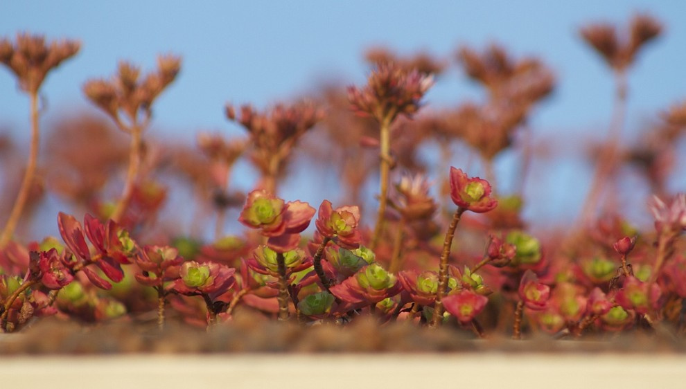 Дом в скандинавском стиле с баней, гостевой комнатой и мастерской. Благодаря оче