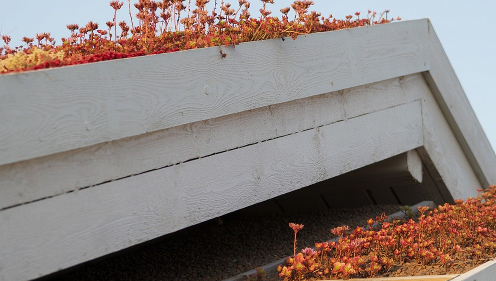 Дом в скандинавском стиле с баней, гостевой комнатой и мастерской. Благодаря оче