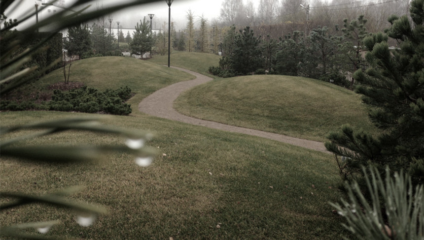 Основным выразительным средством для этого участка выбрана геопластика. Серия пе