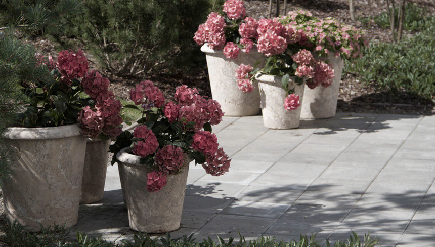 Основным выразительным средством для этого участка выбрана геопластика. Серия пе