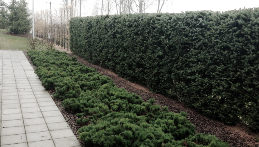 Обложка проекта: Спортивная база