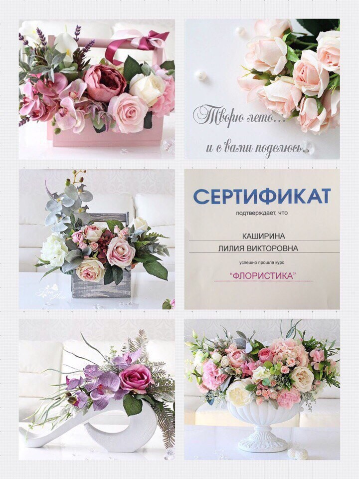 портфолио