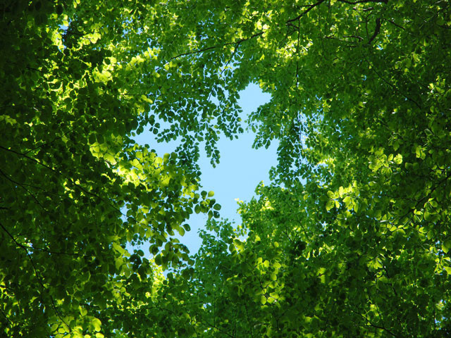 Фотопечать на потолках