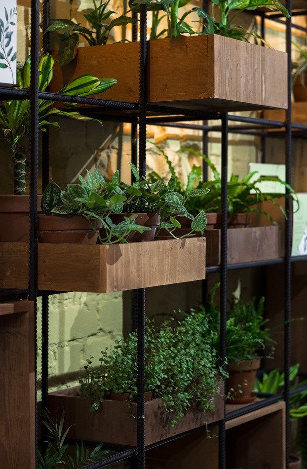 Интерьер кафе BOTANICA в г. Воронеж