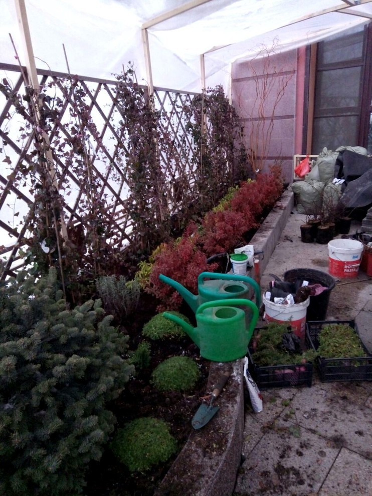 Ландшафтный дизайн приквартирного участка на Проспекте Мира