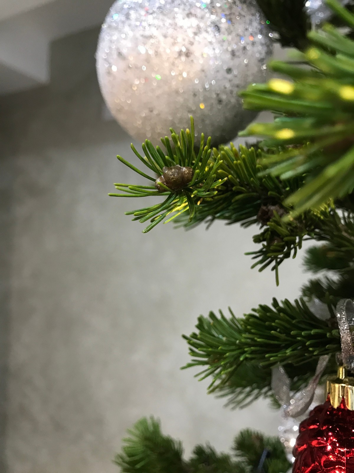 Новогодние Новинки/New Year's Eve